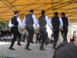 Milano 2008